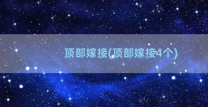 顶部嫁接(顶部嫁接4个)