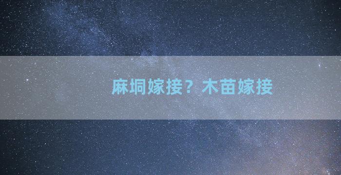 麻垌嫁接？木苗嫁接