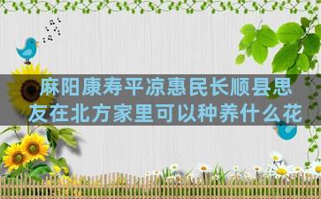 麻阳康寿平凉惠民长顺县思友在北方家里可以种养什么花