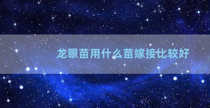 龙眼苗用什么苗嫁接比较好