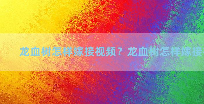 龙血树怎样嫁接视频？龙血树怎样嫁接视频讲解